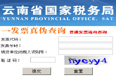 云南国税发票查询